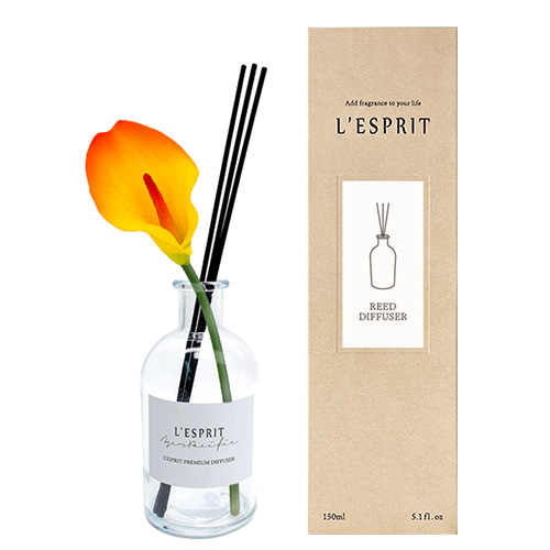 �����ڸ� ��ǻ�� ������ ������ ī�� 150ml