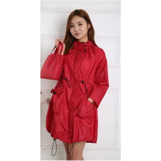 CG529 ������ �мųʺ� ������ ���� ����