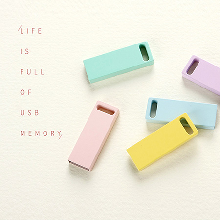 MD- PASTEL S1000 USB �޸� [8G]