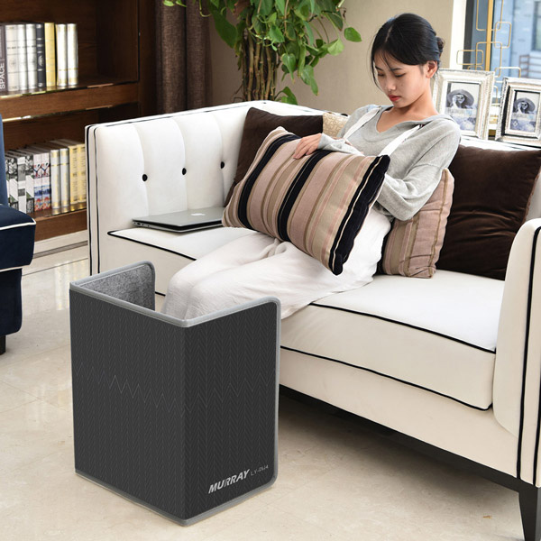 �ӷ��� LY-PH4 �߿���Ƽ�� ����